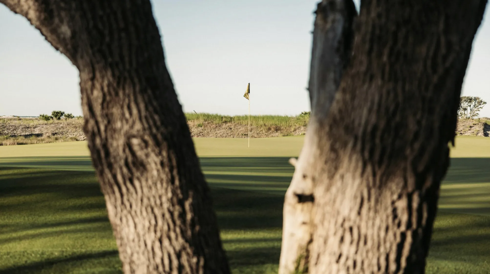 Tournament Highlights